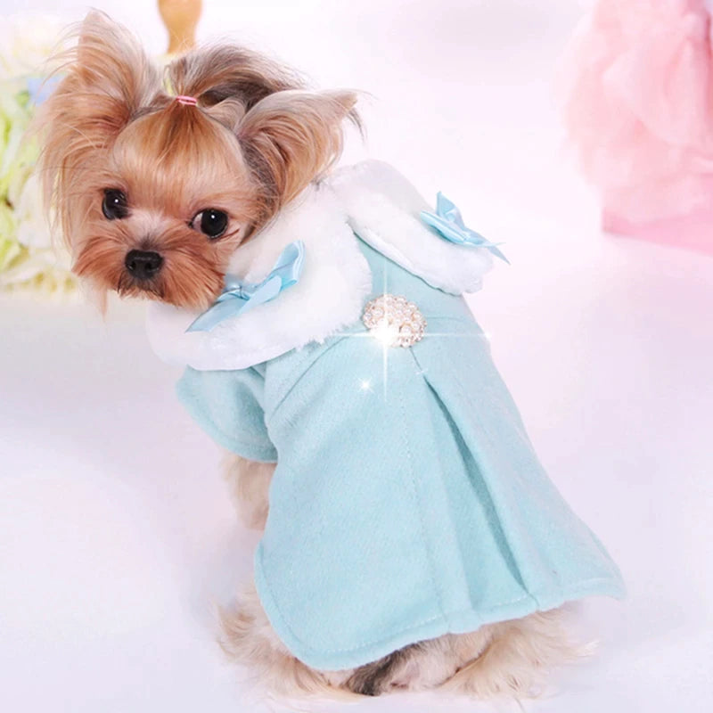 Wool Dog Winter Coat In Tiffany Blue Pretty Paws Luxury Couture