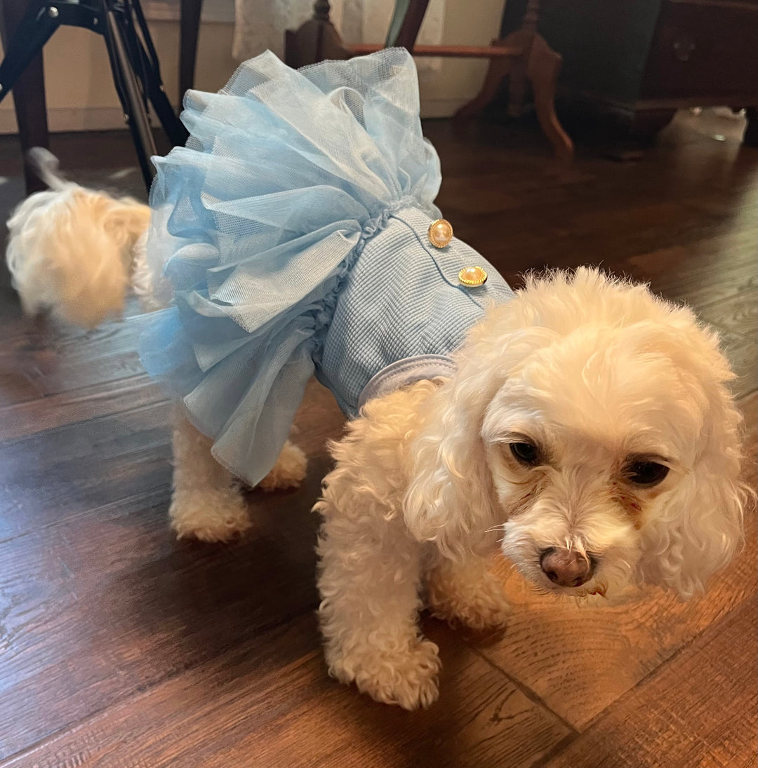 The Cinderella Dress