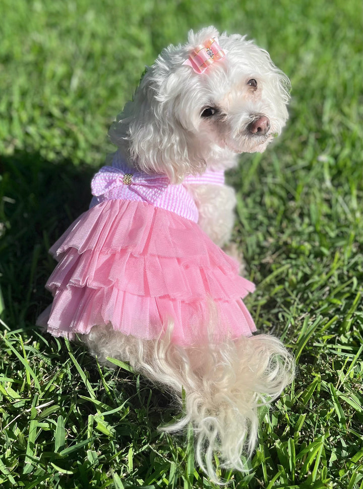 Pink Ruffled Dog Dress with Matching Bow | Luxury Princess Tutu Dress for Small Dogs