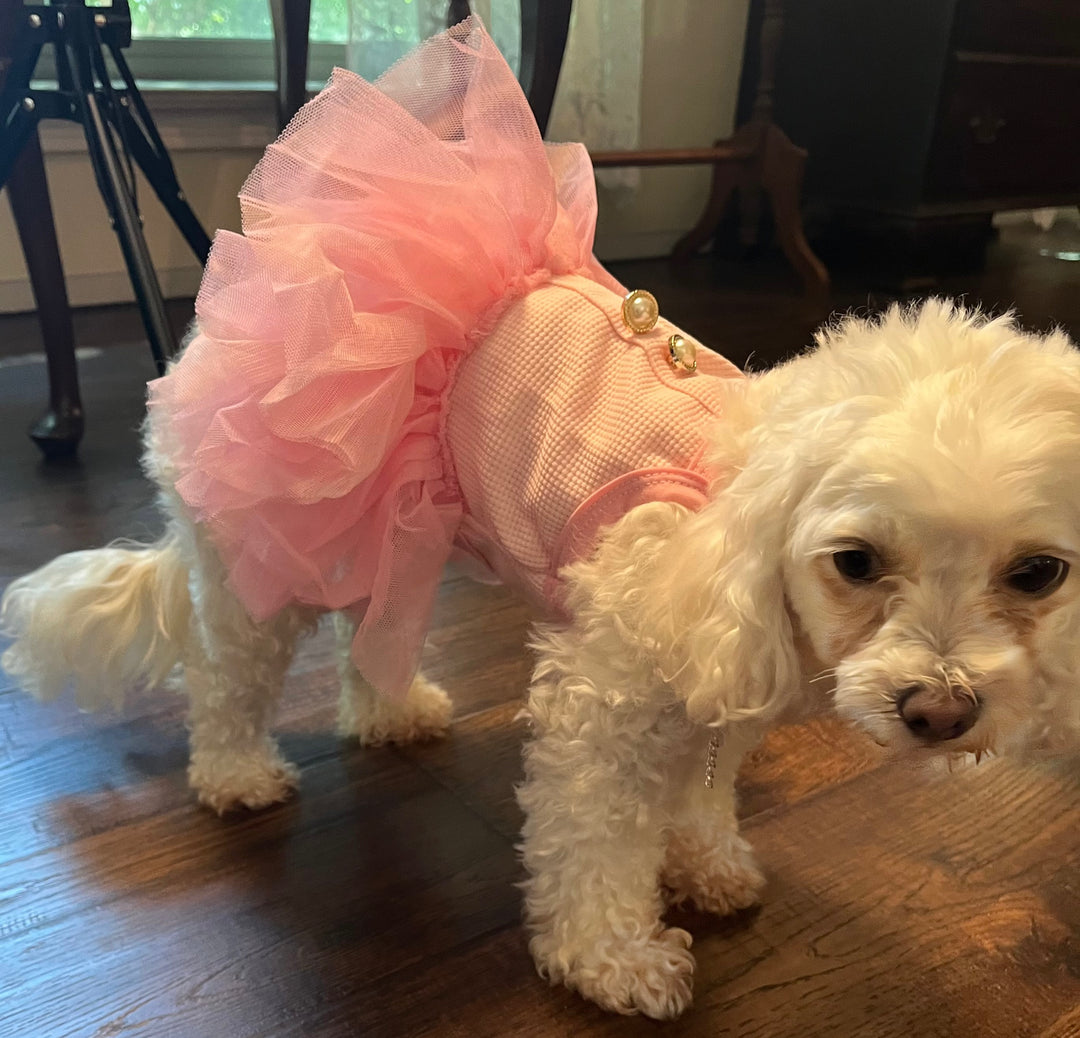 The Pretty in Pink Dress