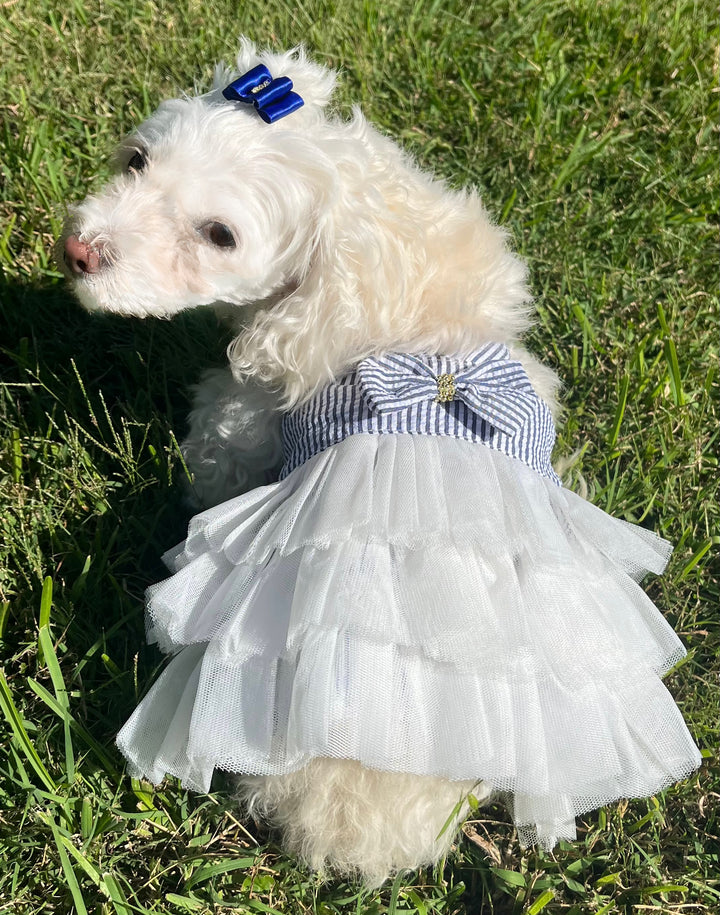 ⚓ Nautical Striped Dog Dress | Luxury Sailor Tutu for Small Dogs