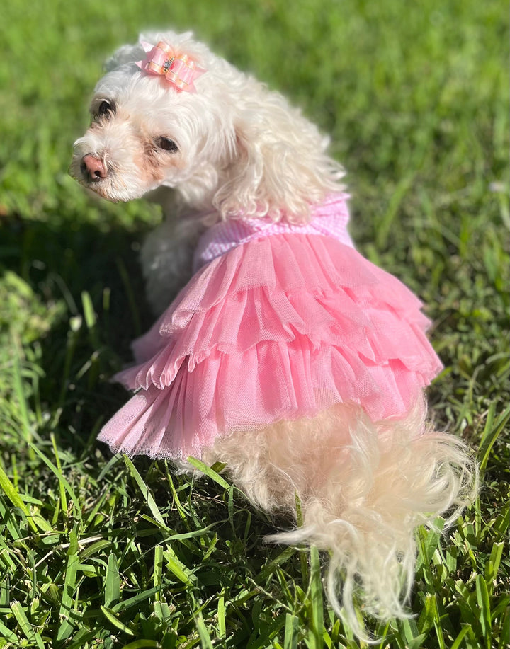 The Bubblegum Dress
