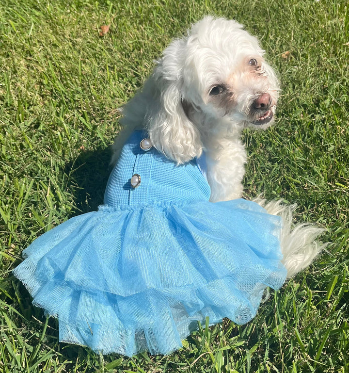 The Cinderella Dress