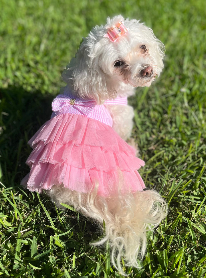 The Bubblegum Dress