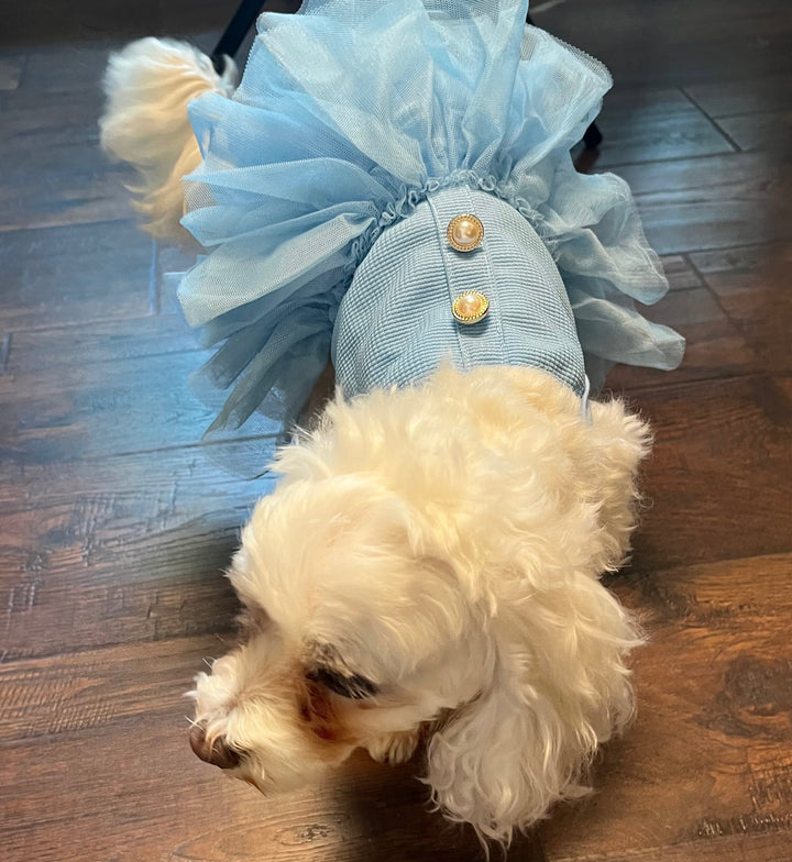 The Cinderella Dress