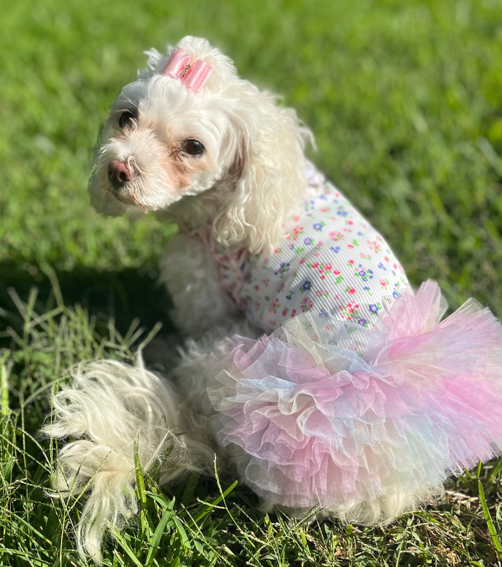 The Cotton Candy Dress