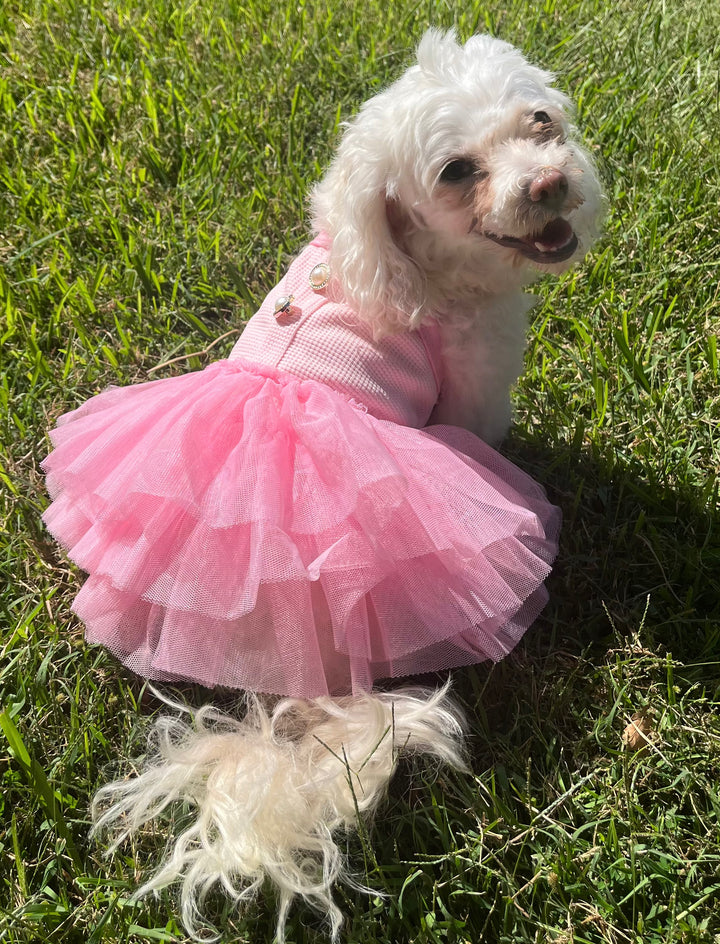 The Pretty in Pink Dress