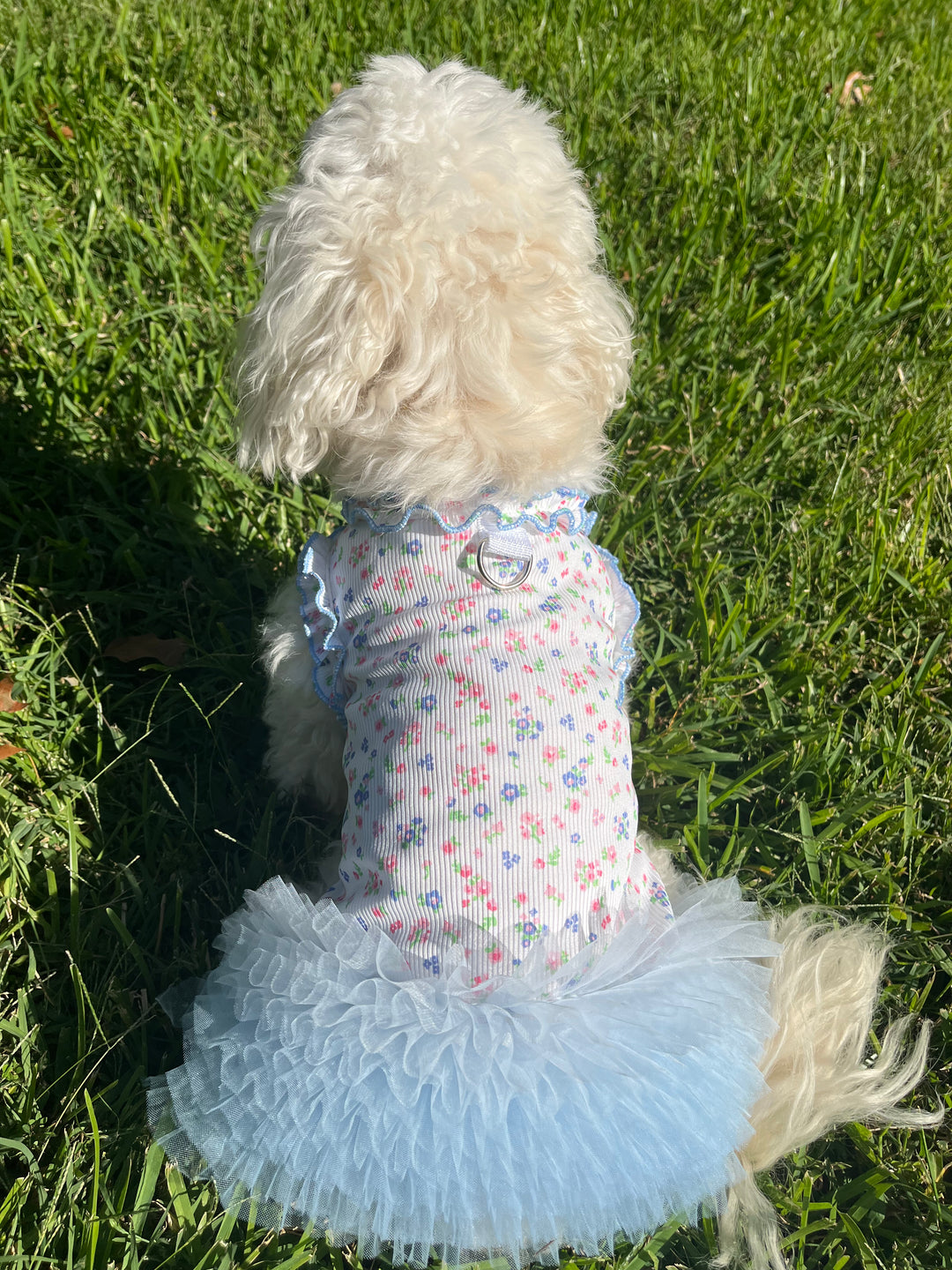 Ballerina Dog Dress | Elegant Harness Tutu for Dogs - Available in Light Blue and Pastel Pink