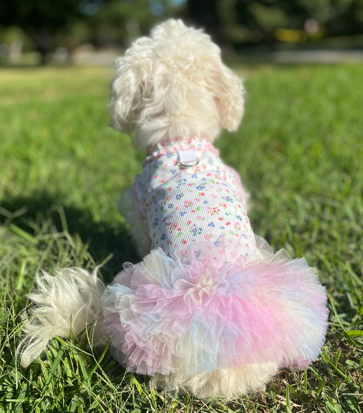 Ballerina Dog Dress | Elegant Harness Tutu for Dogs - Available in Light Blue and Pastel Pink