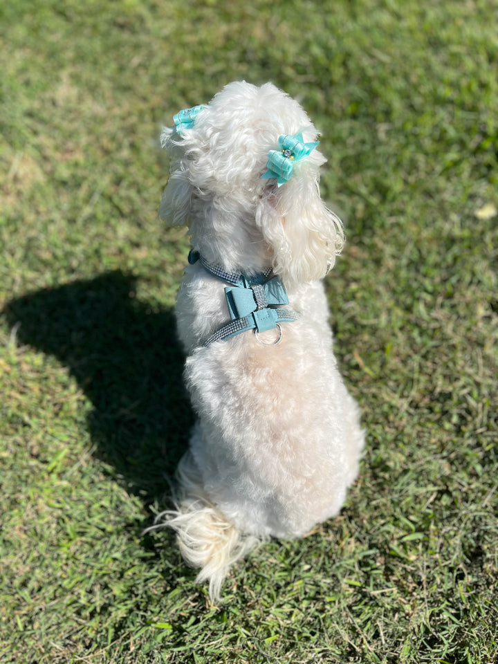 The Velvet Leather Bling Harness - Available in Candy Pink and Robin's Egg Blue