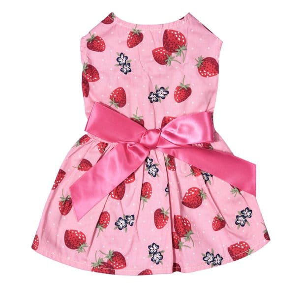 The Strawberry Dress - Pretty Paws Luxury Couture
