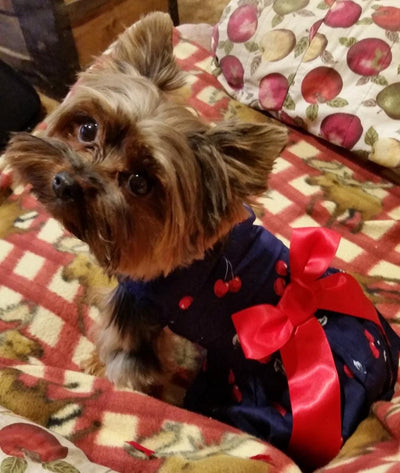 The Cherry Dress - Pretty Paws Luxury Couture
