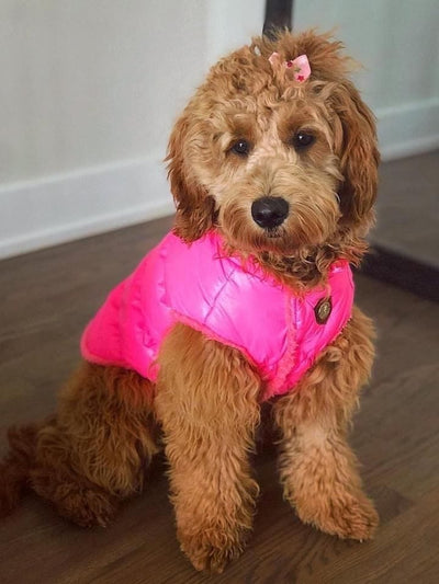 Puffer Coat - Pink - Pretty Paws Luxury Couture