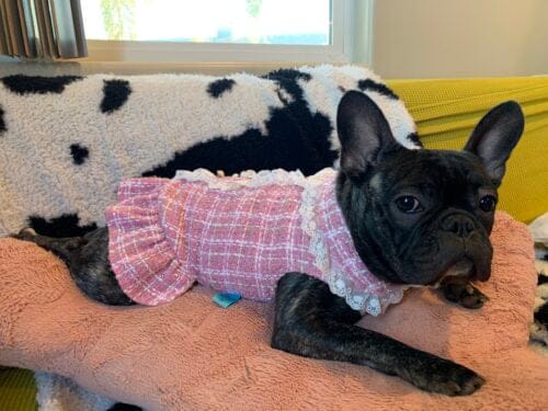 The Audrey Dog Dress In Pink - Pretty Paws Luxury Couture